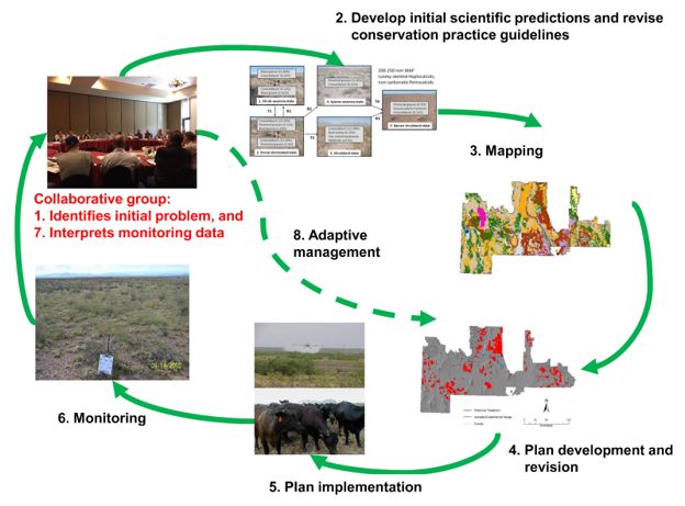 Restore New Mexico Collaborative Monitoring Program