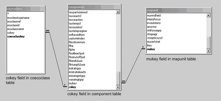 SSURGO Database Tables